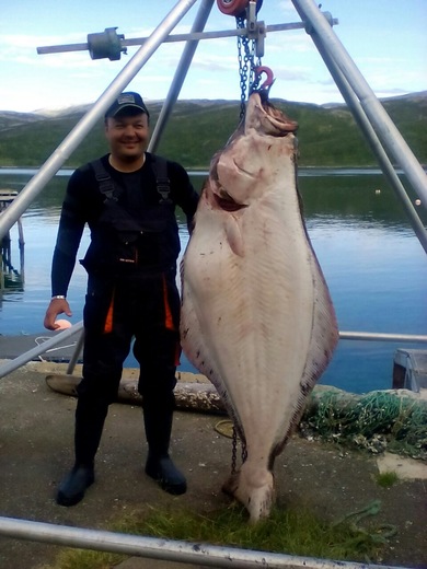 lovec Martin Hudek, halibut 184cm, 78kg, 4.července 2016.jpg